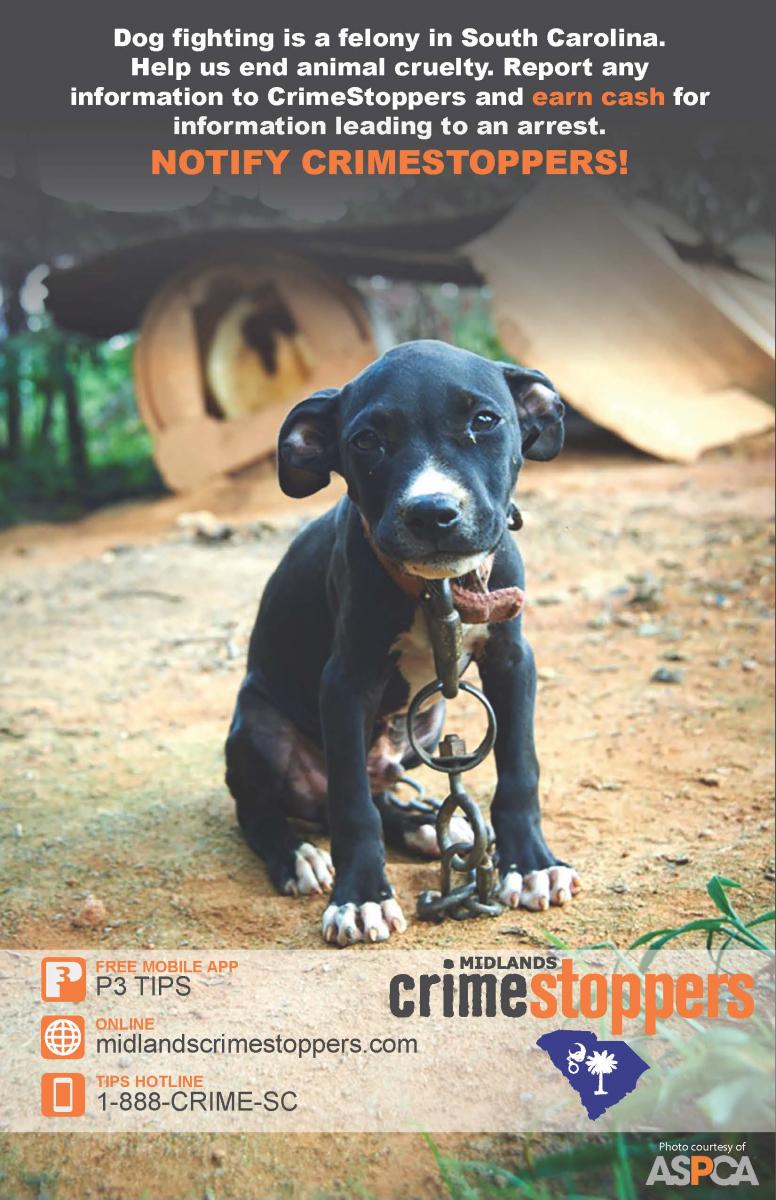 how can we help stop dog fighting